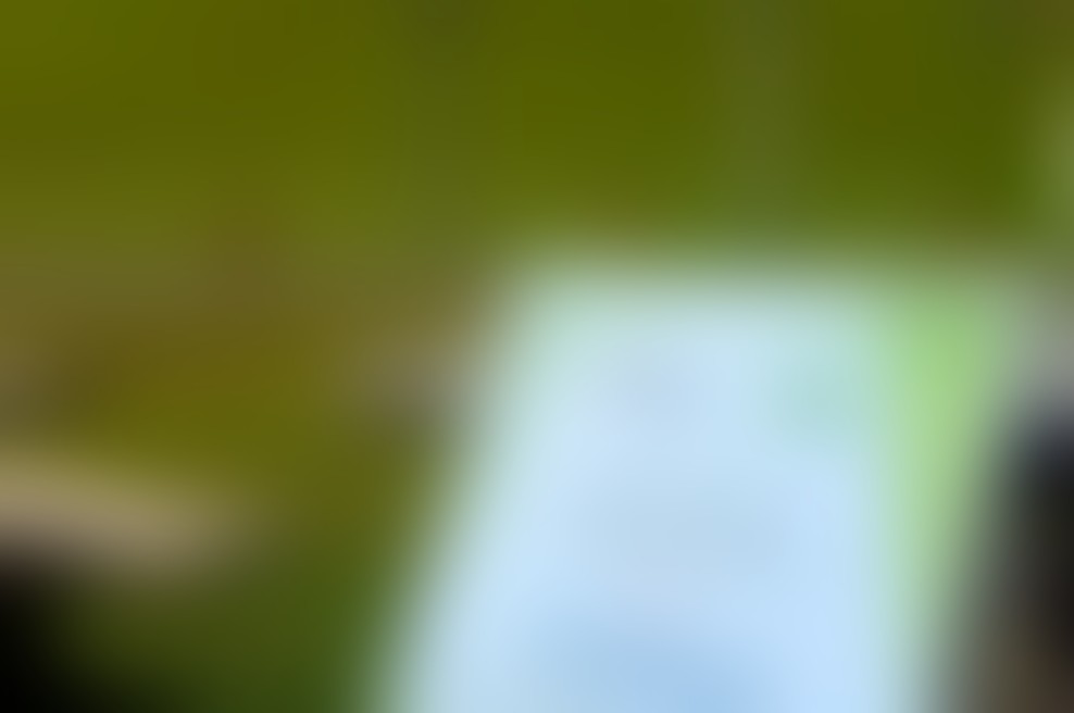 Kristalna odsevnost solinskih polj v Mind Hotelu Slovenija