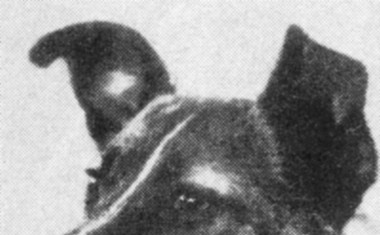 Pred 60 leti je Zemljo obkrožilo prvo živo bitje, psička Lajka!