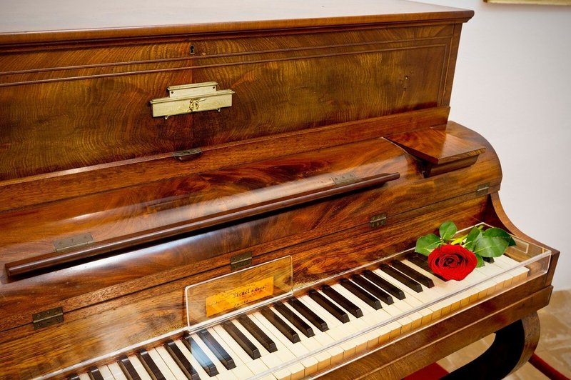 Frederic Chopin je umrl zgodnje smrti zaradi perikarditisa! (foto: profimedia)