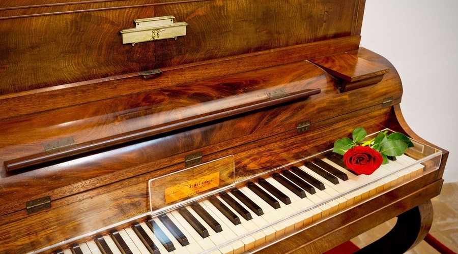Frederic Chopin je umrl zgodnje smrti zaradi perikarditisa! (foto: profimedia)