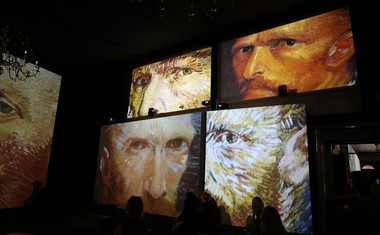 Na Van Goghovi sliki našli ostanke mrtve kobilice