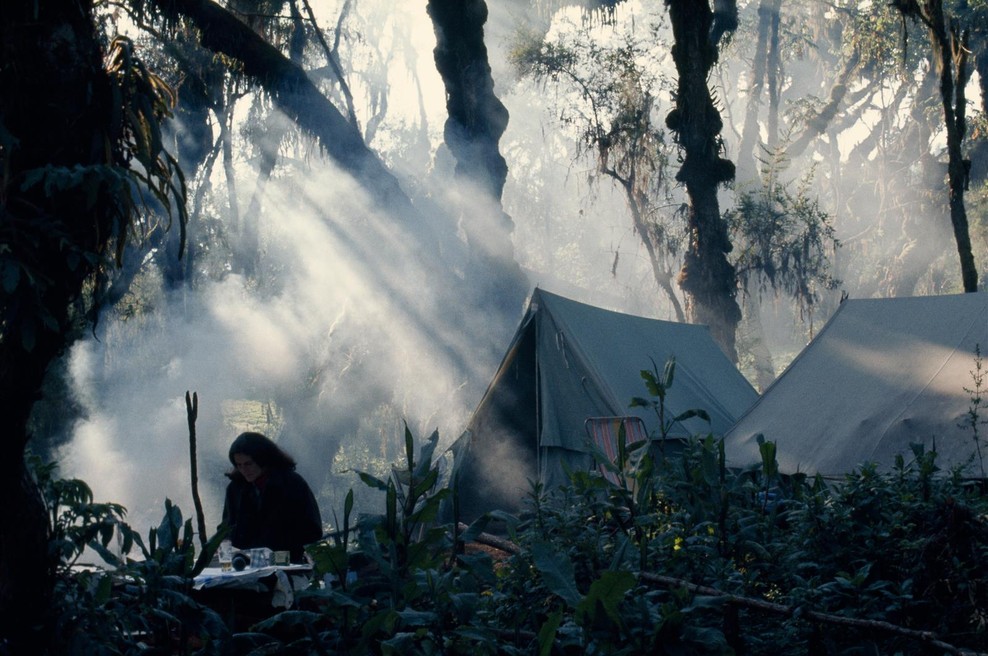 Osebna izpoved umorjene primatologinje - neverjetne Dian Fossey! (foto: Dian Fossey Press)
