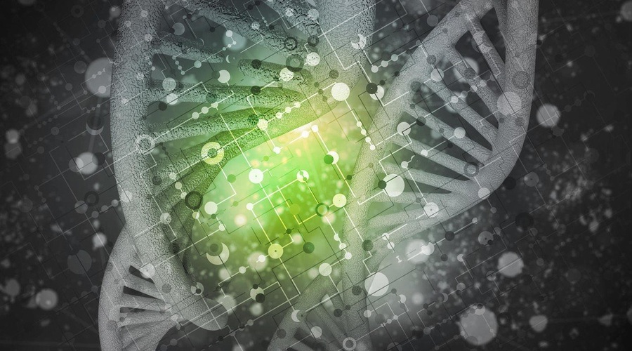 Slovenski znanstveniki odkrili gen za progerio - bolezen prezgodnjega staranja! (foto: profimedia)