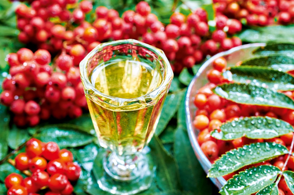 Jerebika - uporabljali so jo za večjo psihično moč (foto: Shutterstock)