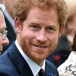 Princ Harry se bo spomladi poročil