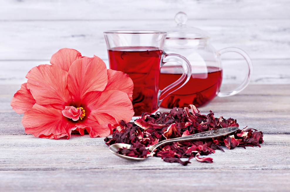 Hibiskus - dober za zdravje in uporaben v kozmetiki (foto: Shutterstock)