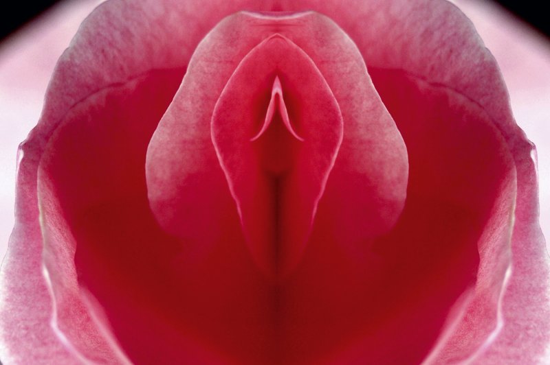 Joni – vagina oziroma naša božanska energija (foto: Shutterstock)