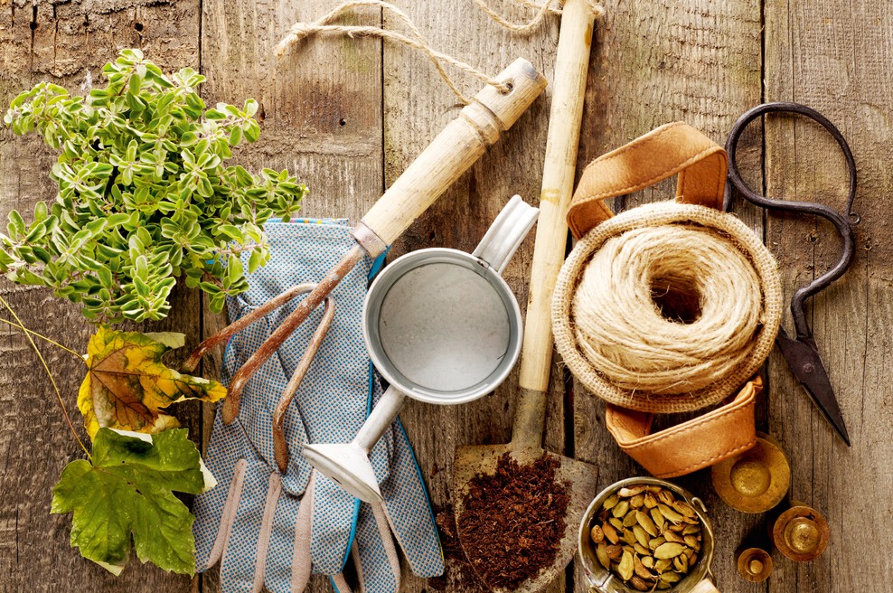 Vrtnih opravil nikoli ne zmanjka - tudi pozimi ne (foto: Shutterstock)
