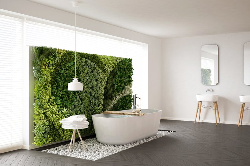 5 rastlin, ki se počutijo dobro tudi v kopalnici (foto: Shutterstock)
