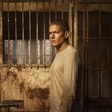 Michael Scofield: Bo spet na begu?