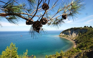 Odplujte zdravim in sončnim doživetjem naproti - v Terme na morju!