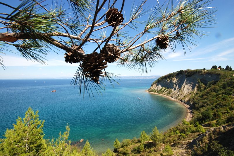 Odplujte zdravim in sončnim doživetjem naproti - v Terme na morju! (foto: LifeClass Portorož)