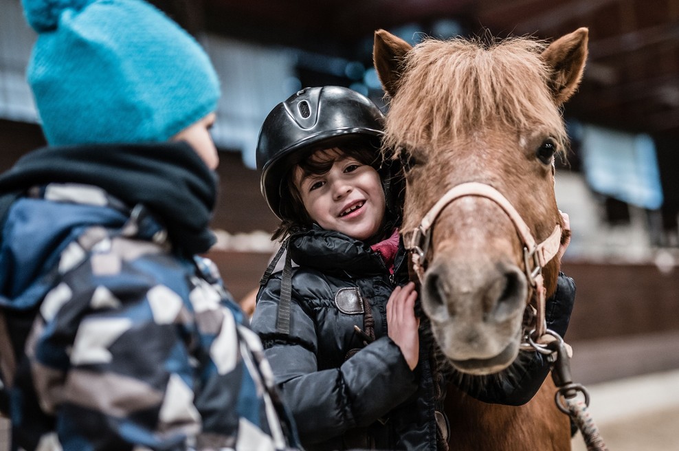 Počitniški dan objemov z lipicanci in poniji (foto: Kobilarna Lipica)