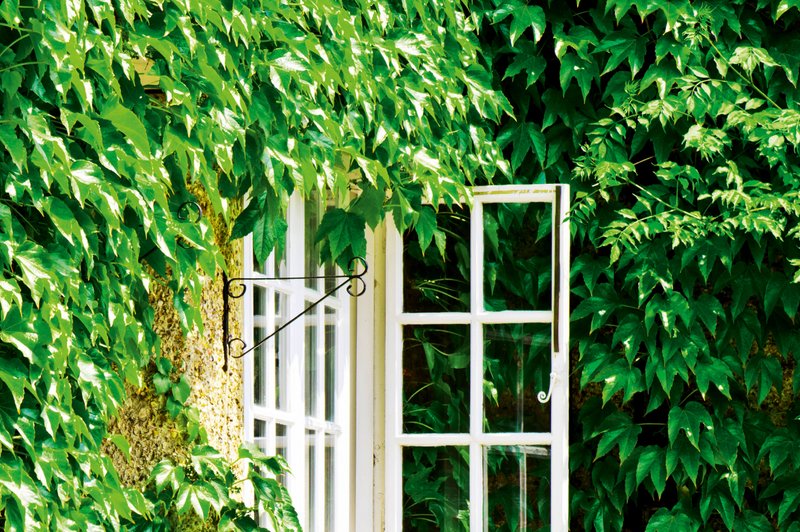 Individualno oblikovanje vrta: Ne zadovoljite se z običajnimi rešitvami (foto: Shutterstock)