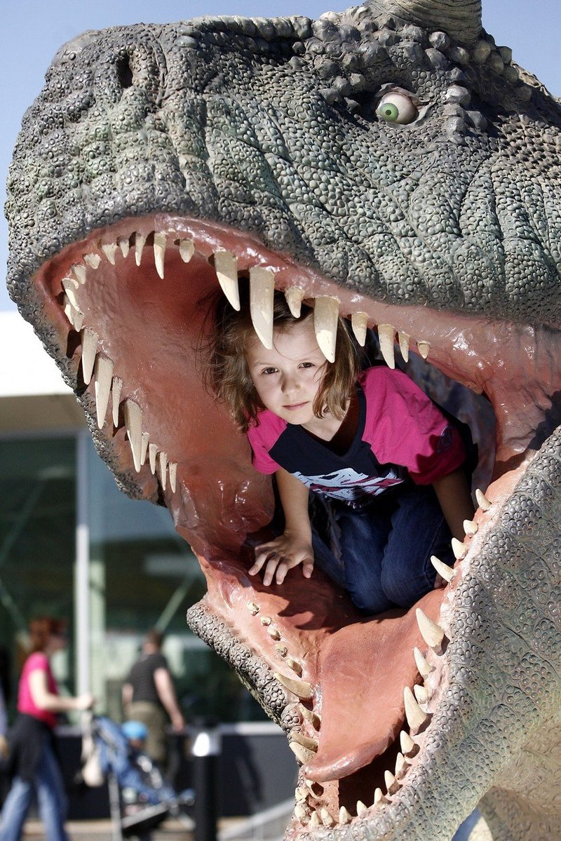 Poučni komplet za male junake Odkrij dinozavre s knjigo in veliko magnetno ploščo! (foto: profimedia)