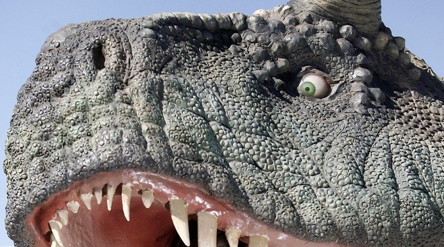 Poučni komplet za male junake Odkrij dinozavre s knjigo in veliko magnetno ploščo! (foto: profimedia)