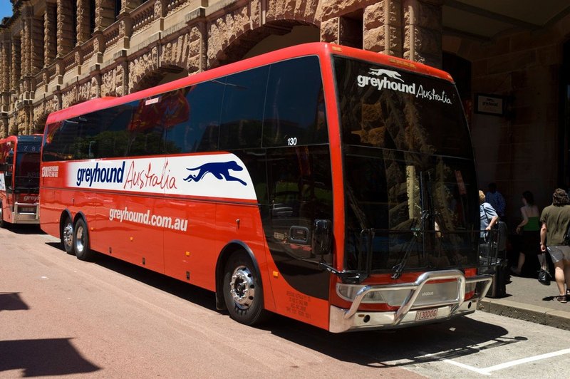 Avstralija: Z vsajenim čipom za javni prevoz si je "prislužil" globo! (foto: Profimedia)
