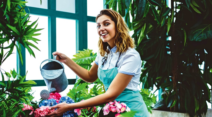 5 zvijač pri negi rož, ki prinesejo uspeh (foto: Shutterstock)