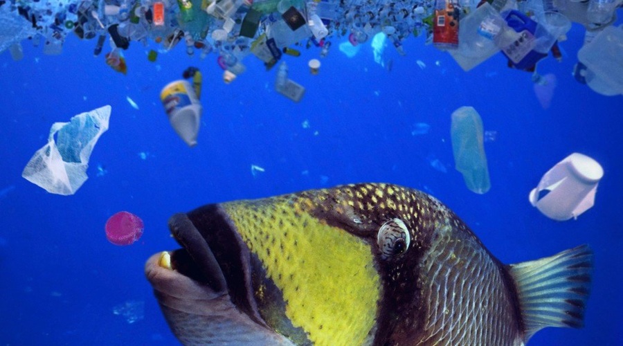 Otok smeti v Tihem oceanu je večji kot Francija, Nemčija in Španija skupaj! (foto: profimedia)