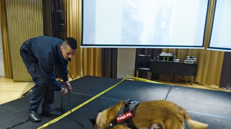 Igor Šumar - trener psov za odkrivanje min: Služba na minskem polju