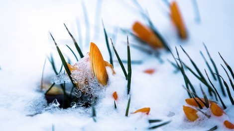 Bizarno vreme: Vzhodno Evropo prekril oranžen sneg!