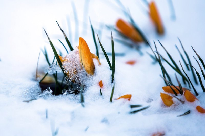 Bizarno vreme: Vzhodno Evropo prekril oranžen sneg! (foto: profimedia)