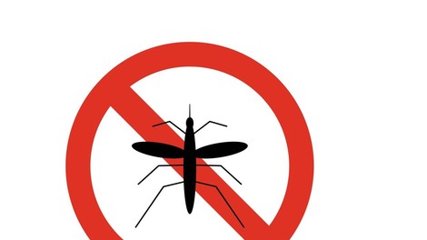 V Zagrebu se soočajo s pravo invazijo komarjev