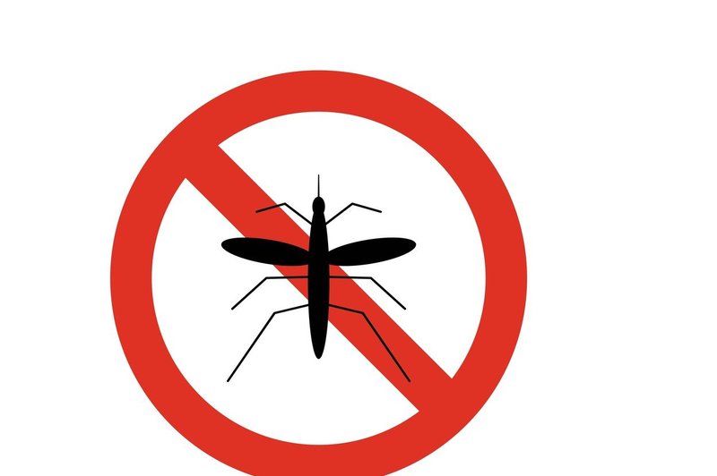 V Zagrebu se soočajo s pravo invazijo komarjev (foto: profimedia)