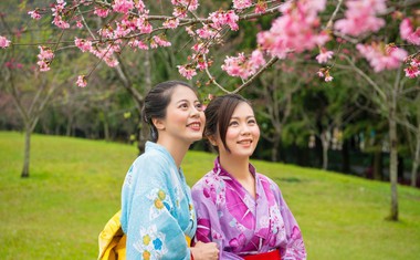 5 stebrov japonske poti do smisla življenja ali ikigaj - tako, kot ga vidi Ken Mogi!