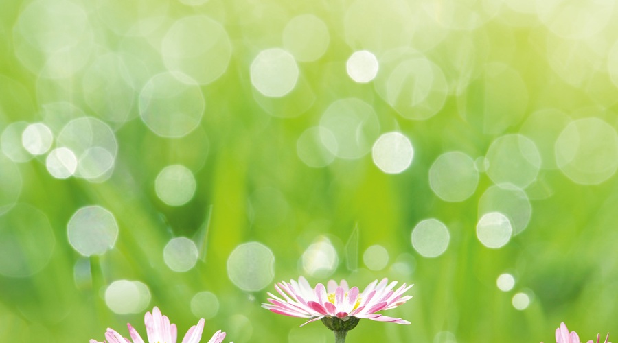 Mesec april velja za prinašalca mladosti (foto: Shutterstock)