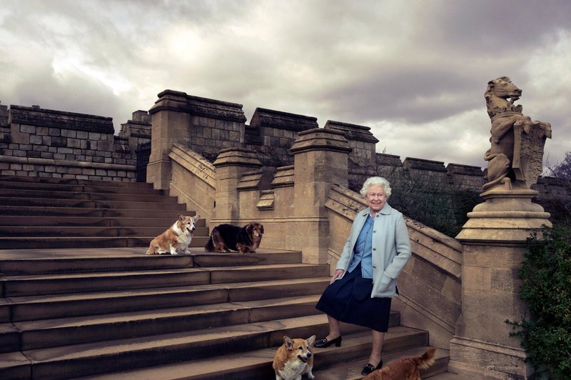 Kraljica Elizabeta močno potrta ob izgubi svojega psa Willowa (foto: Profimedia)