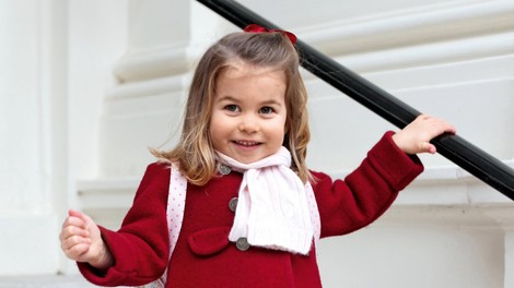 Princ William in vojvodinja Kate: Odštevanje do rojstva tretjega otroka!