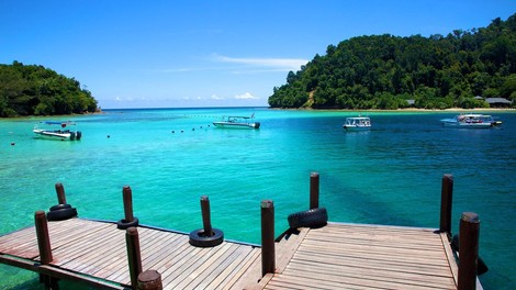 Na otoku Borneo odkrili mravlje - kamikaze, ki se za zaščito svoje kolonije razstrelijo!
