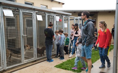 Zavetišče za živali Maribor z dnevom odprtih vrat prijetno presenetilo zaposlene in prostovoljce