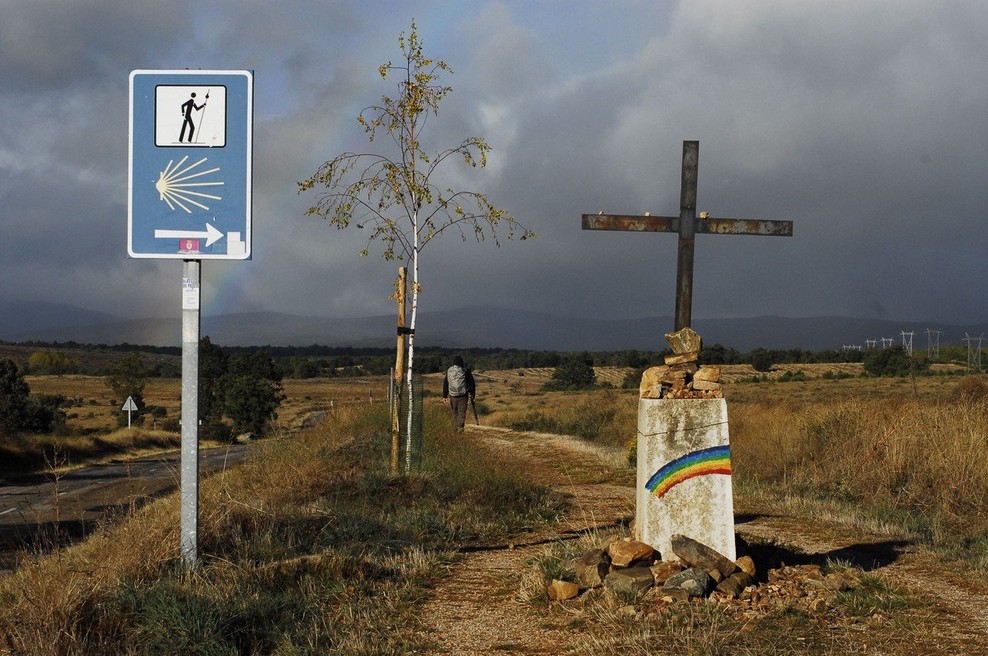 Slovenec kljub slepoti s psičko vodnico prehodil pot Camino de Santiago (foto: Profimedia)