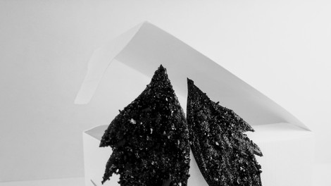 Marjeta Hribar, oblikovalka: Premog oblikuje v nakit