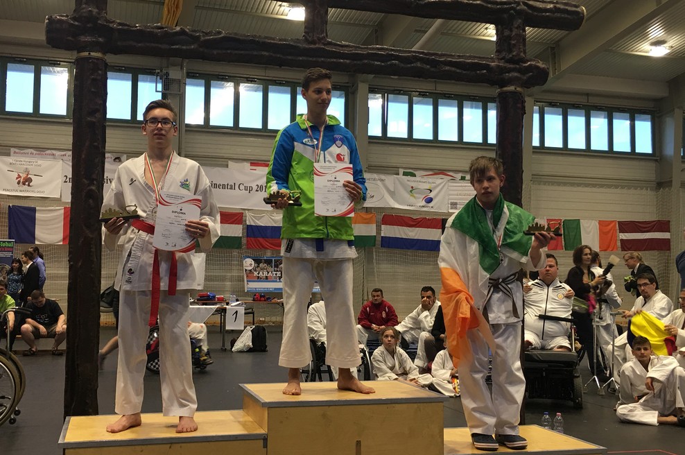 Open I - karate Global World championship para karate 2018 (foto: Press Zveza Sonček)
