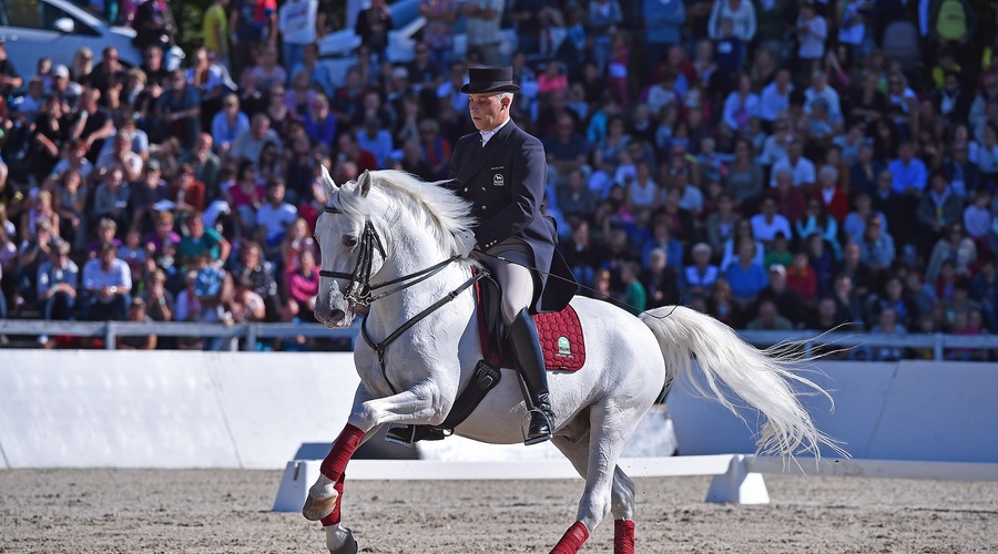 438. rojstni dan lipicanca (foto: Sibil Slejko)