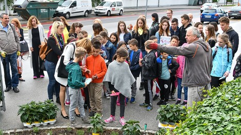 Ljubljanski šolarji posadili okoli 1.900 medovitih rastlin