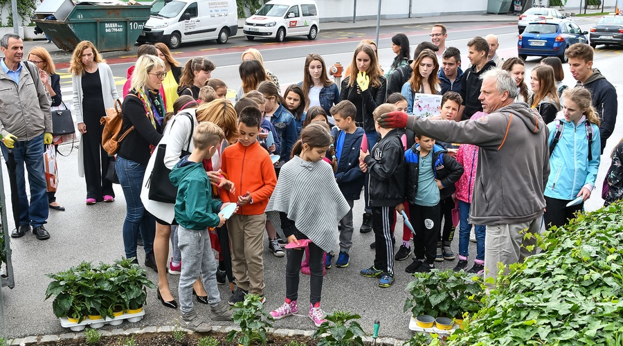 Ljubljanski šolarji posadili okoli 1.900 medovitih rastlin (foto: BTC City Press)