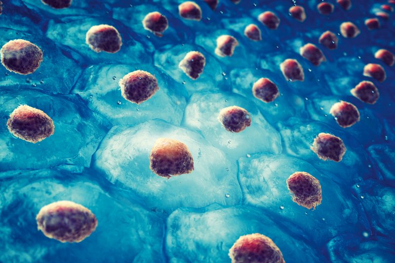 Darovanje krvotvornih matičnih celic: Ko lahko nekomu rešiš življenje (foto: Shutterstock)