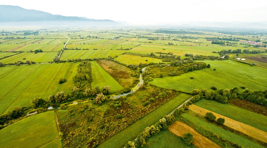 Spoznajte krajinski park Ljubljansko barje (foto: shutterstock, Krajinski park barje)
