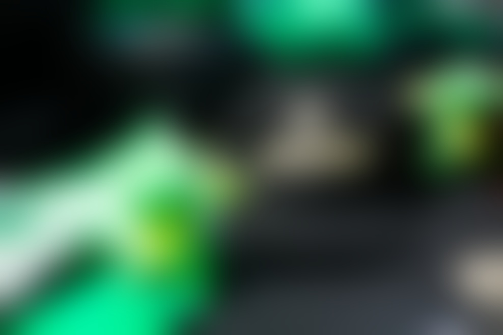 TOYO FEST letos v znamenju Petrol Olimpije.