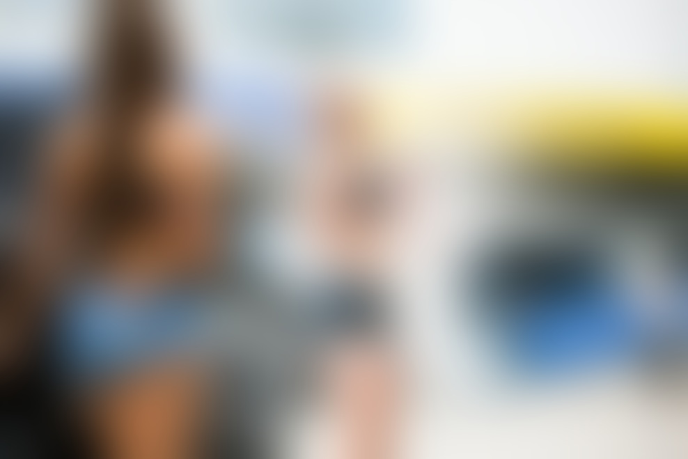 TOYO FEST letos v znamenju Petrol Olimpije.