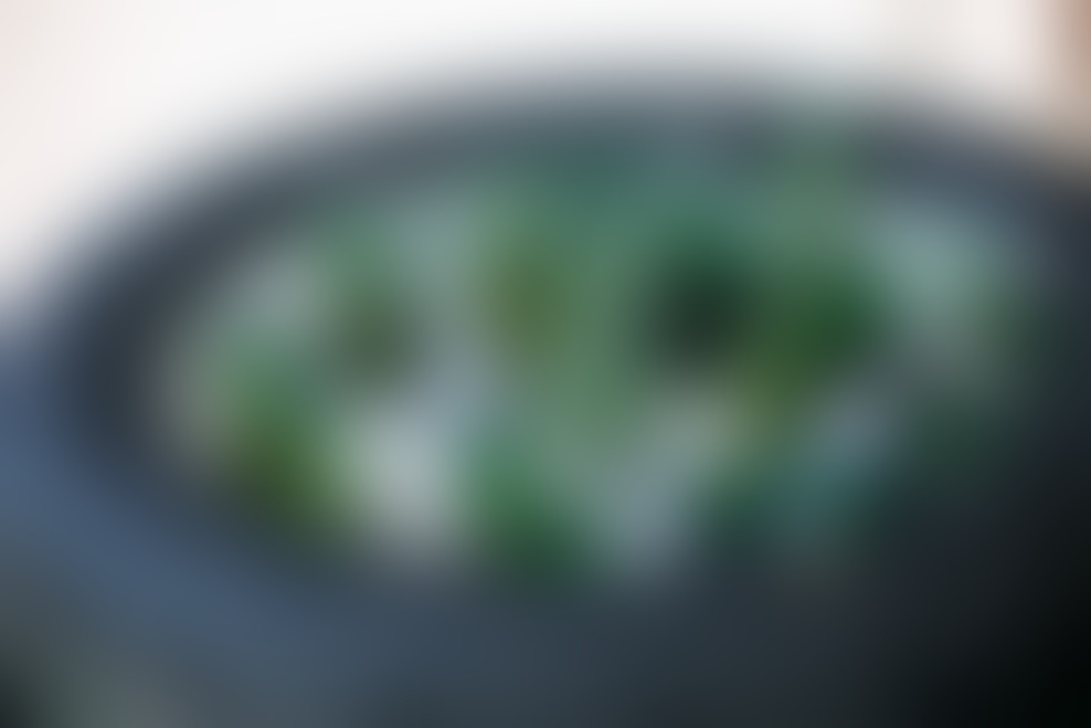 TOYO FEST letos v znamenju Petrol Olimpije.