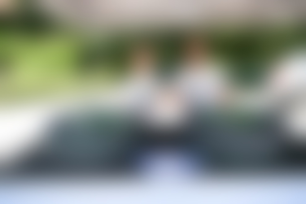 TOYO FEST letos v znamenju Petrol Olimpije.