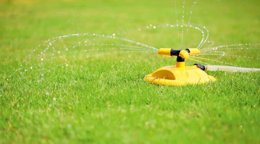 Negovanje trate: Pazite na posebnosti! (foto: shutterstock)