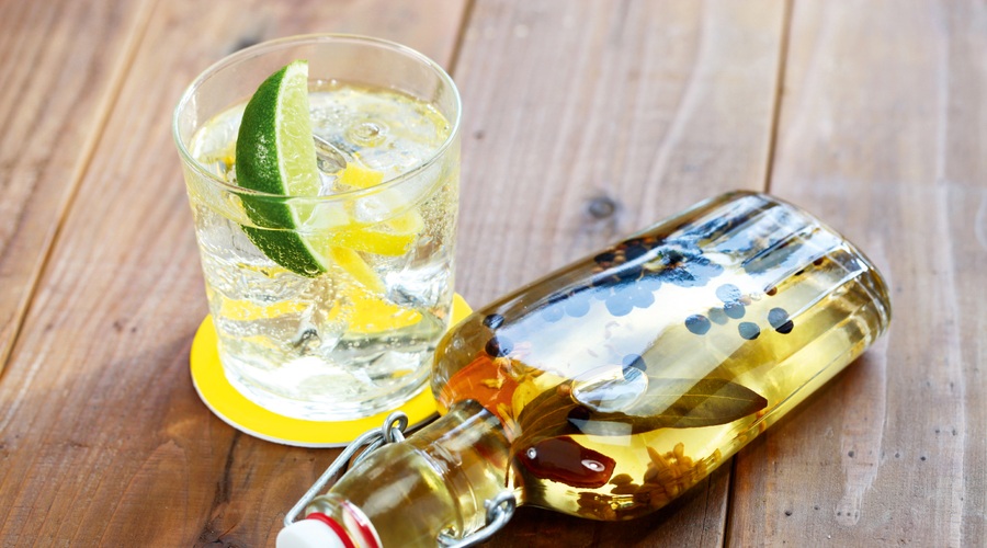 Priljubljenost džina se ne zmanjšuje - lahko ga pripravite tudi sami! (foto: shutterstock)