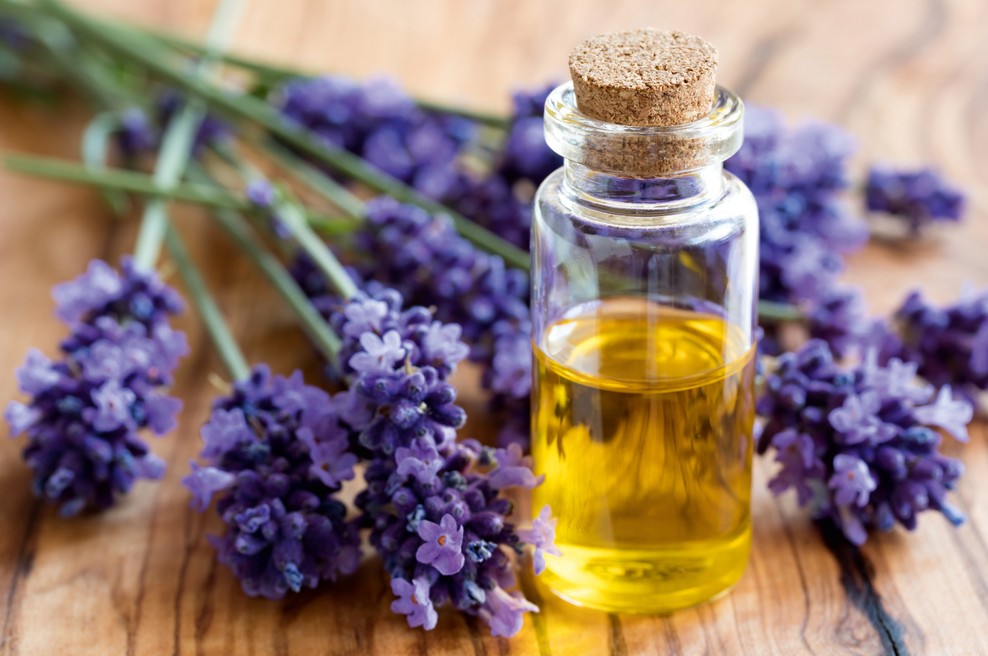 Magična eterična olja - prva pomoč pri bolečih pikih (foto: Shutterstock)