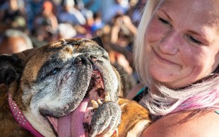 Žalostna novica: Poginila je Zsa Zsa - najgrši pes na svetu!